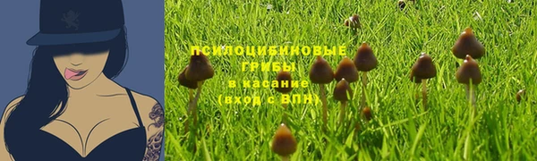 мет Белокуриха