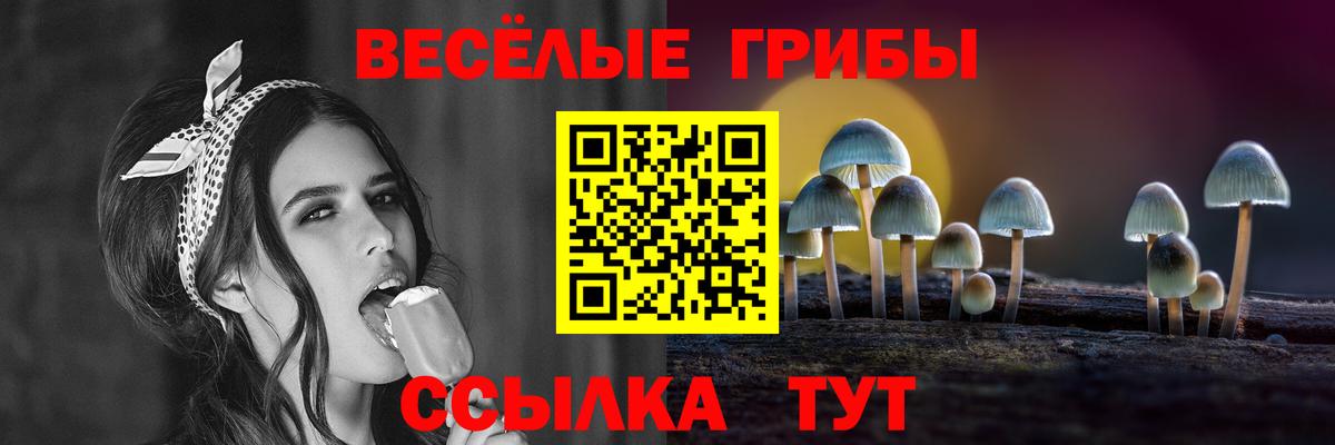 Галлюциногенные грибы Psilocybine cubensis  Вход с VPN  Верхний Уфалей 